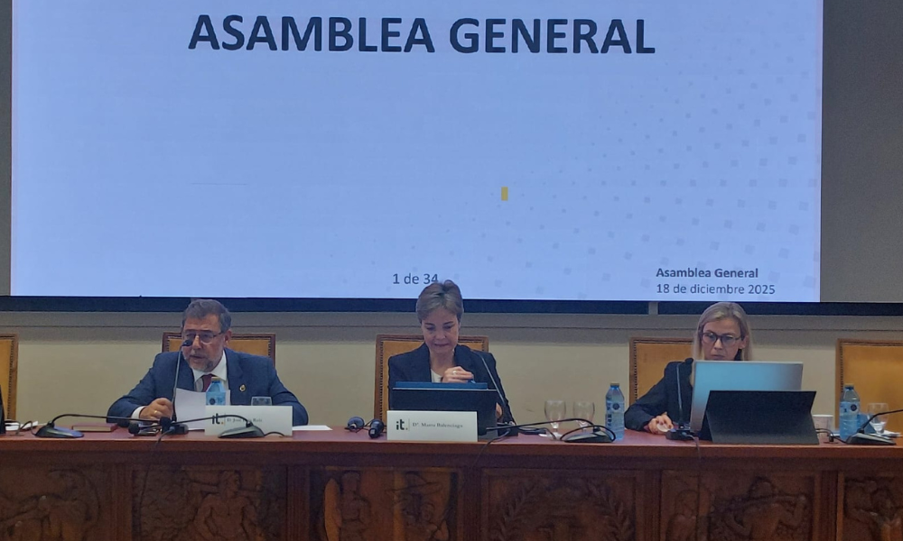 Asamblea General