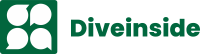 diveinsie.png