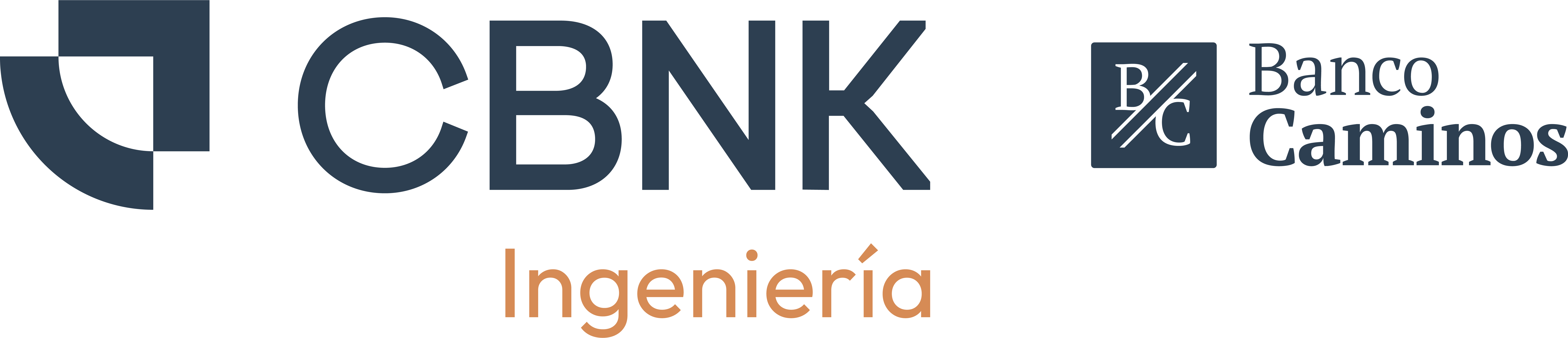 CBNK Ingeniería